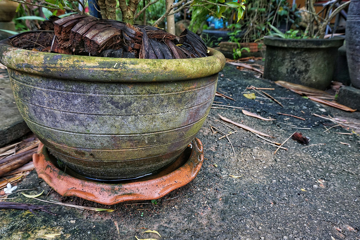garden pot with saucer