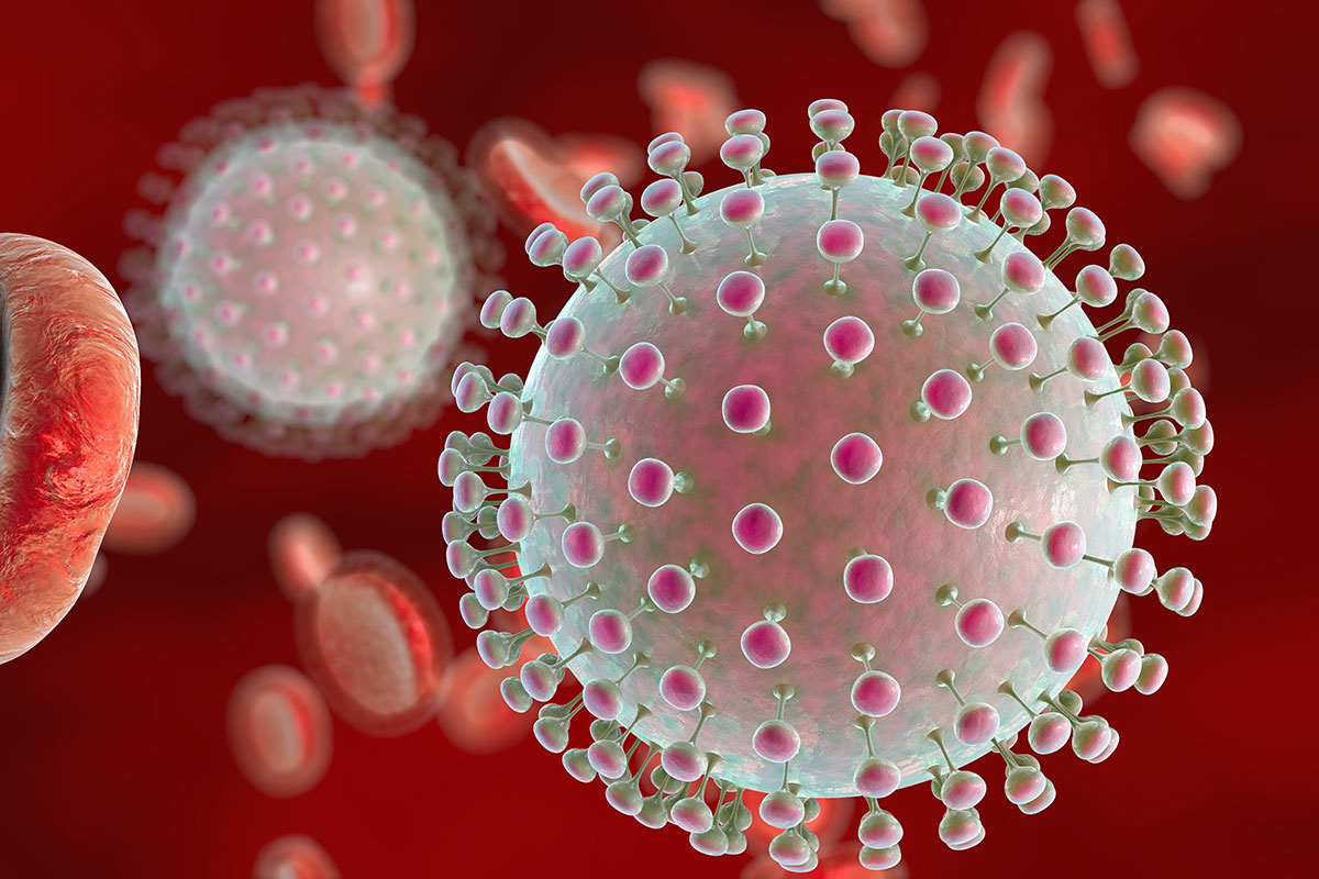 zika virus illustration
