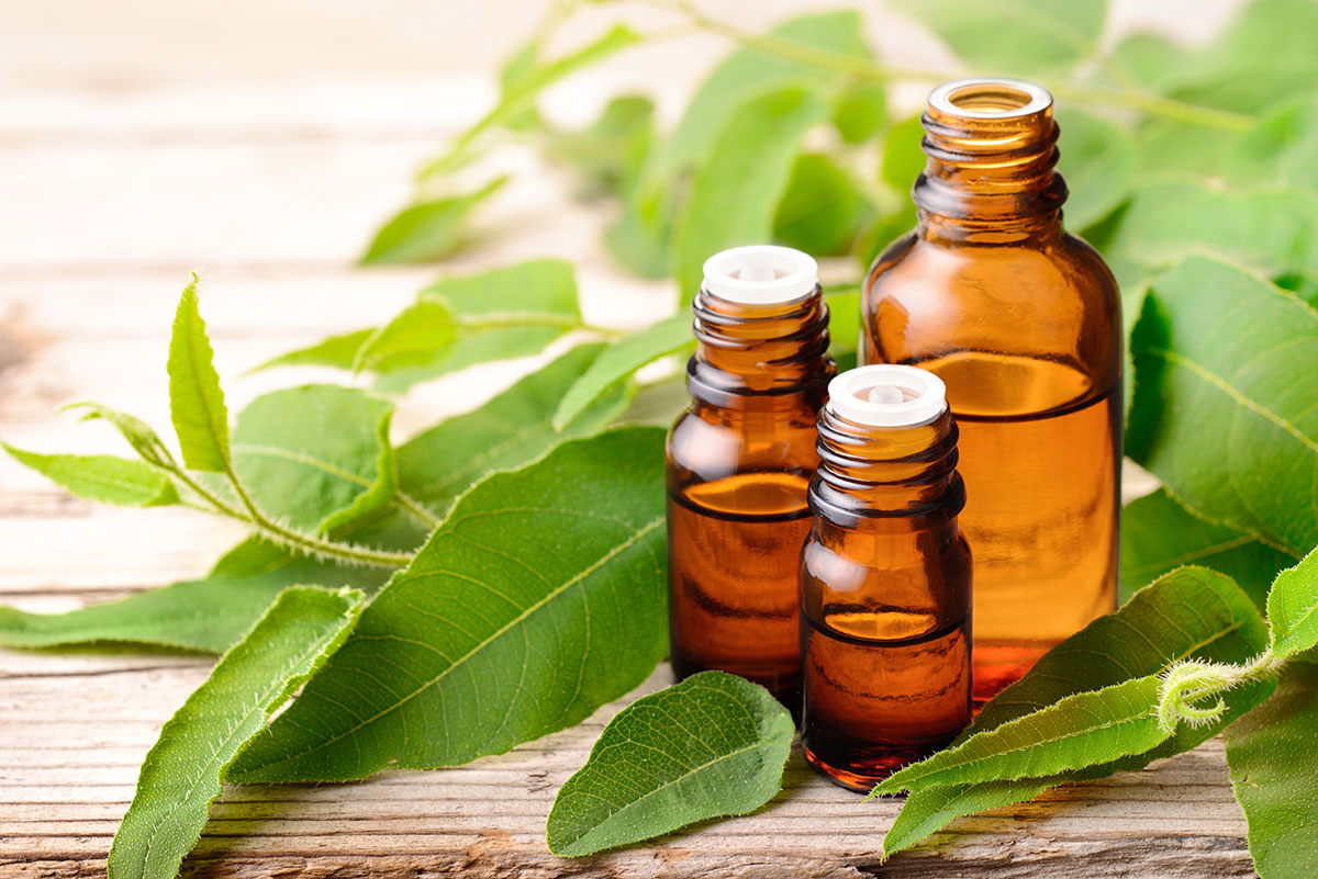 eucalyptus oil