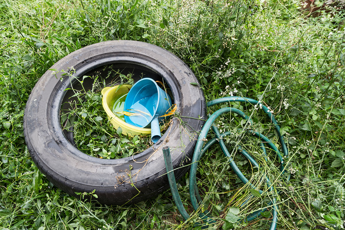 tire in yard