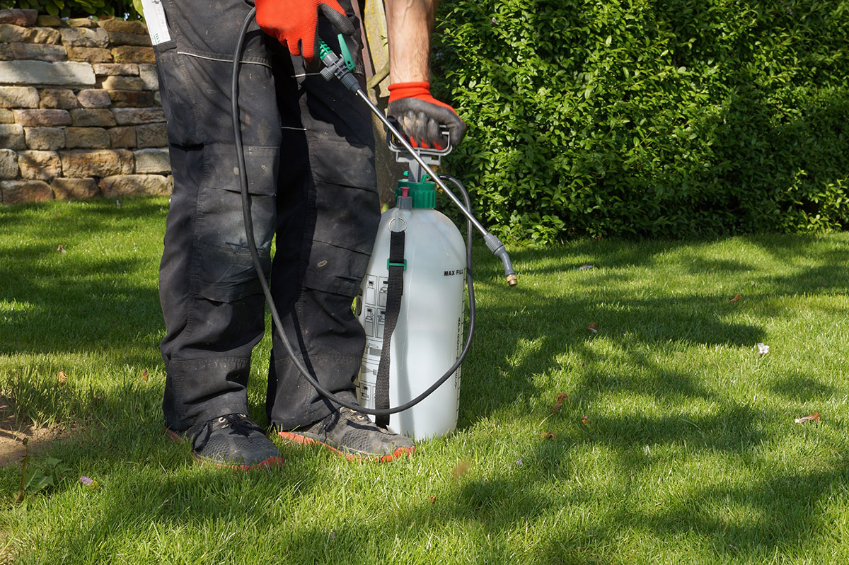 chemical application on lawn